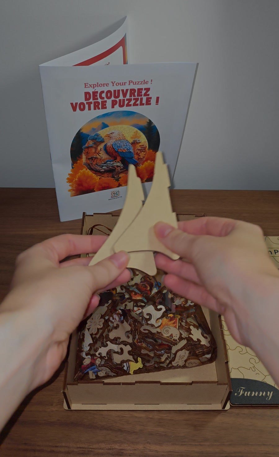 Livret puzzle aigle