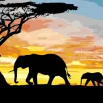 Affiche Éléphants au Couchant : silhouettes d'un éléphant et de son petit sous un acacia, ciel de coucher de soleil
